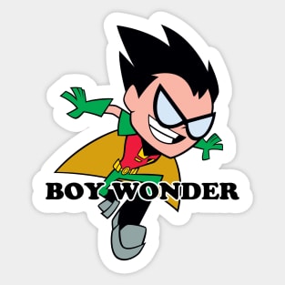 THE BOY WONDER Sticker